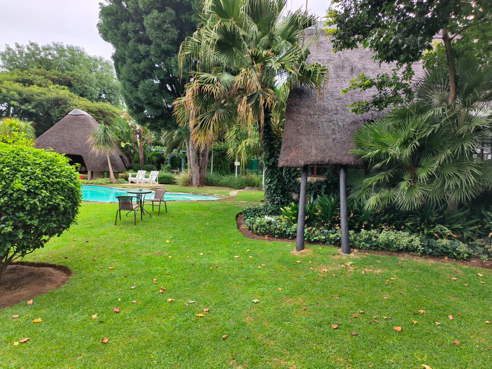 Lipizzaner Lodge, Kyalami, Midrand